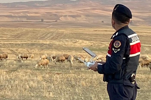 Jandarma 30 kayıp koyunu drone ile buldu