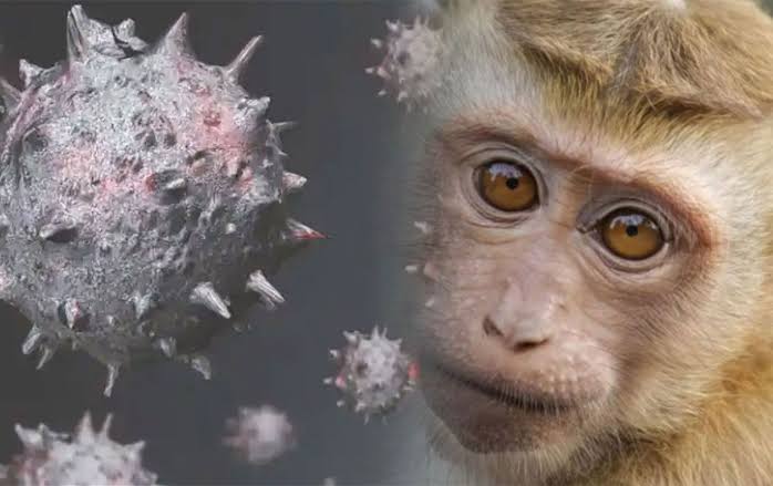 Maymun çiçeği virüsü nedir?