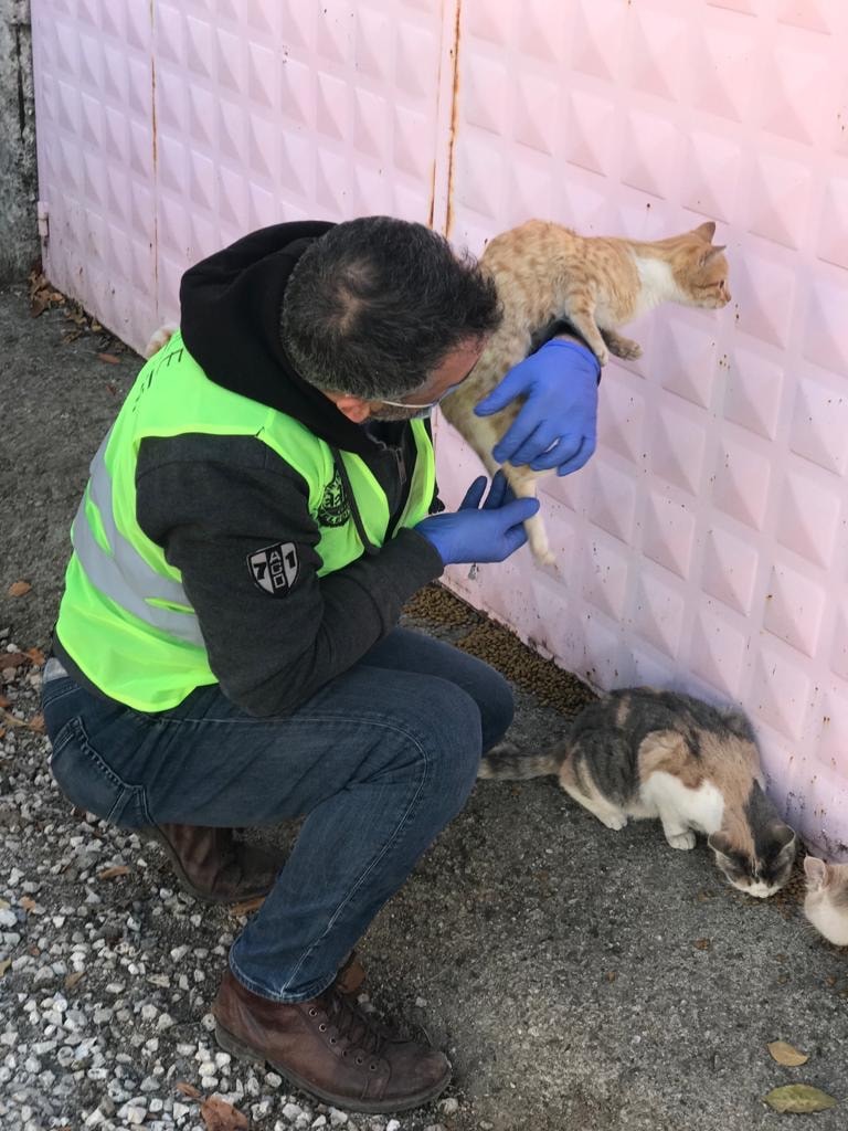 Kırıkkale Belediyesi Sokak hayvanlarını unutmadı